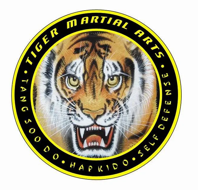 Tiger Martial Arts LLC Picture 2