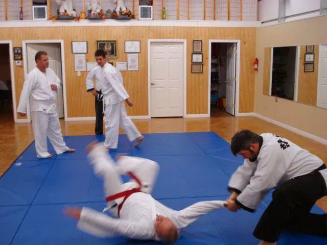 Tiger Martial Arts LLC Picture 6