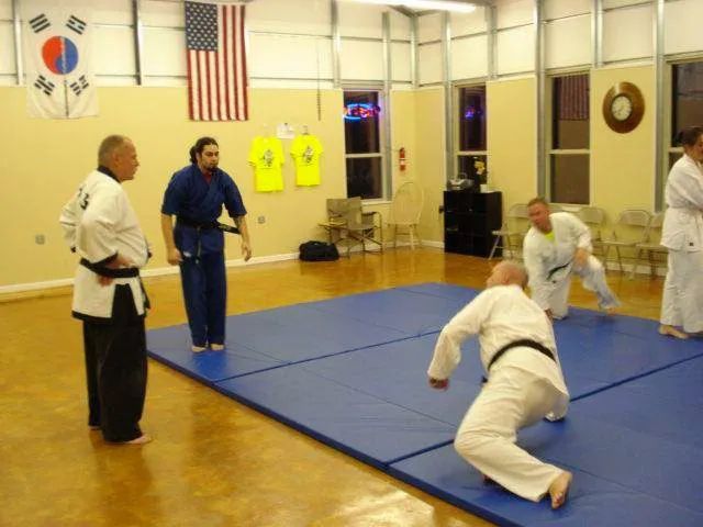 Tiger Martial Arts LLC Picture 7