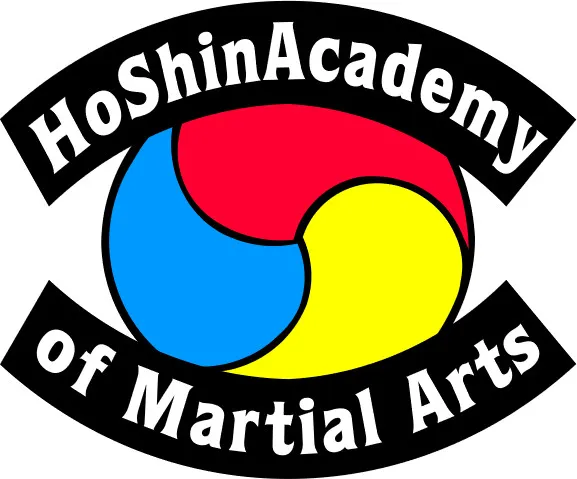 Ho Shin Academy of Martial Arts Picture 2