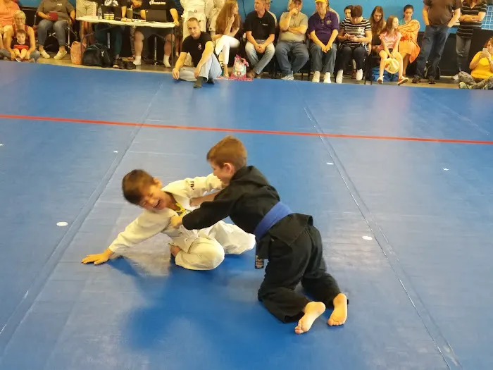 Wall To Wall Martial Arts Picture 8