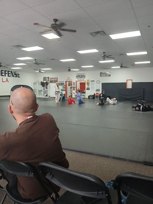 Bayou Jiu Jitsu & Self Defense Picture 5
