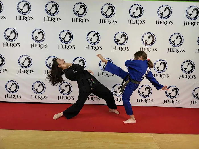 Hero's Way Martial Arts Picture 1