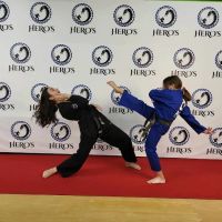 Hero's Way Martial Arts ico