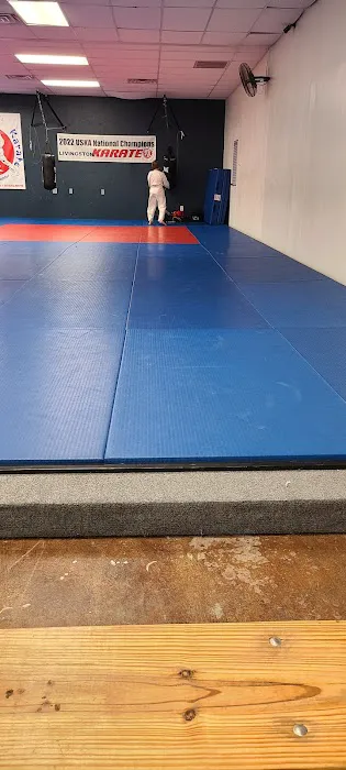Ray Effler's Livingston Karate Picture 1