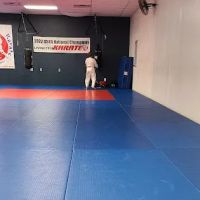 Ray Effler's Livingston Karate ico