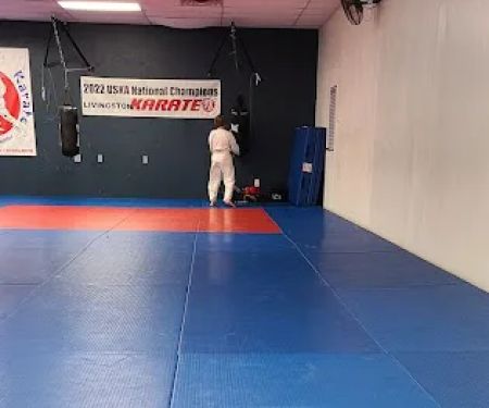 Ray Effler's Livingston Karate