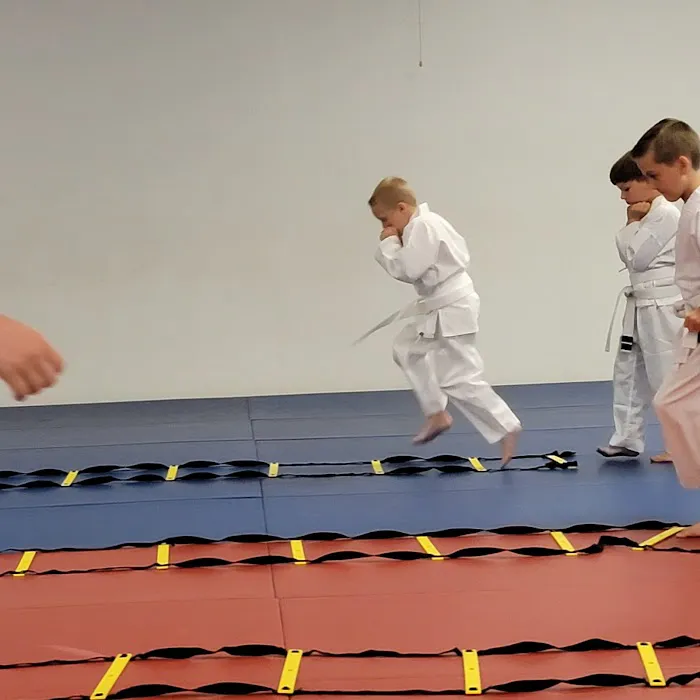 Ray Effler's Livingston Karate Picture 3