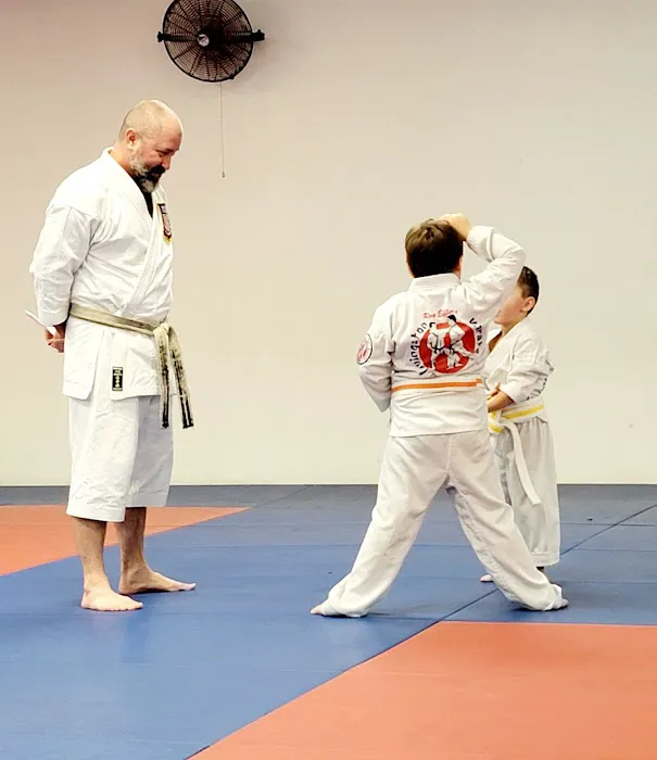 Ray Effler's Livingston Karate Picture 4