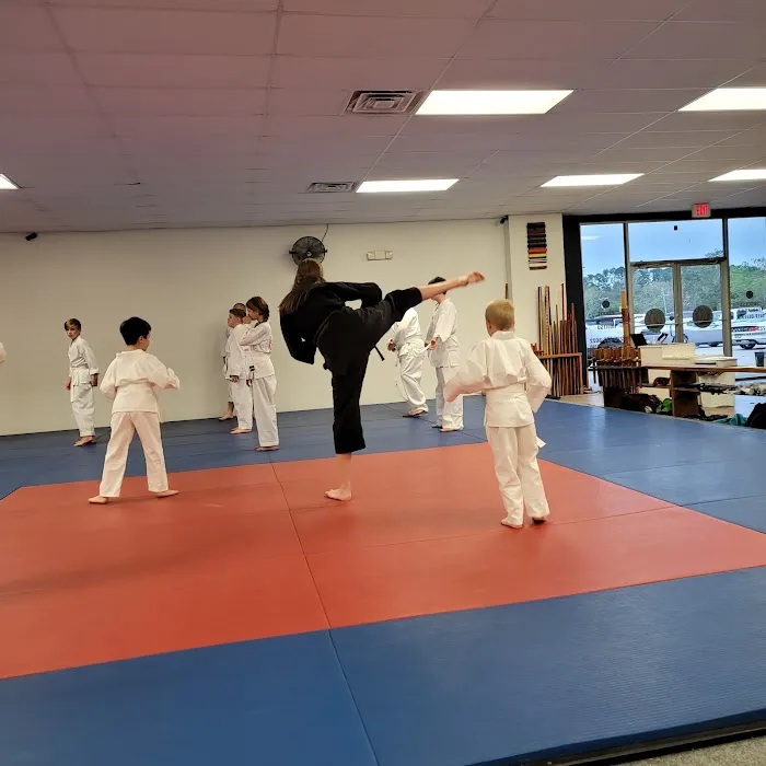 Ray Effler's Livingston Karate Picture 9