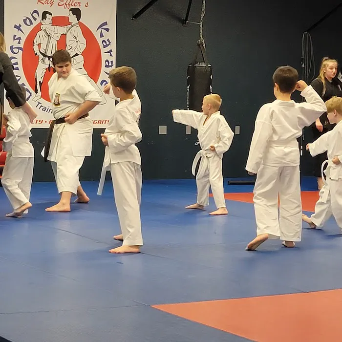 Ray Effler's Livingston Karate Picture 6