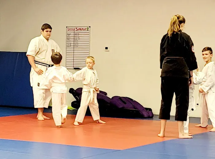 Ray Effler's Livingston Karate Picture 5