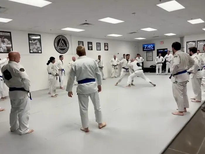 Gracie Jiu Jitsu North Phoenix Picture 2