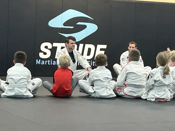 Stride Martial Arts and Fitness Picture 4