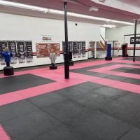 Tiger-Dragon Karate Club ico
