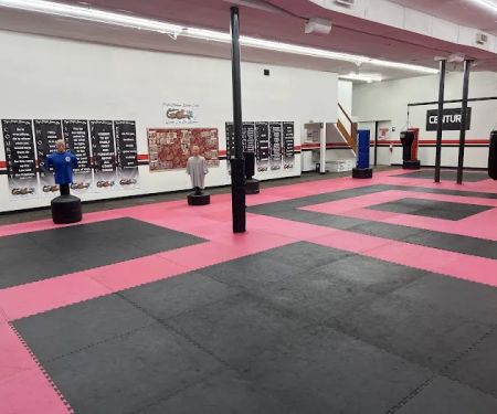 Tiger-Dragon Karate Club