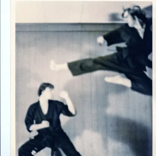 Tiger-Dragon Karate Club Picture 7