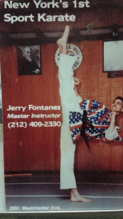 Fontanez Martial Arts Success Center Picture 5