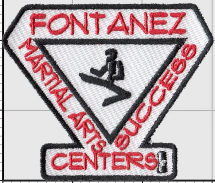 Fontanez Martial Arts Success Center Picture 9