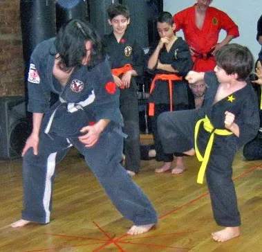Chinese Hawaiian Kenpo Academy Picture 3