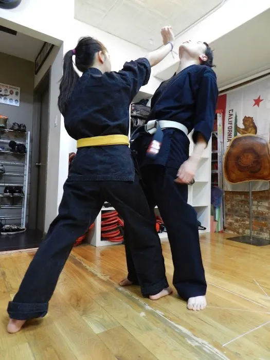 Chinese Hawaiian Kenpo Academy Picture 1