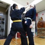 Chinese Hawaiian Kenpo Academy