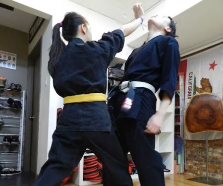 Chinese Hawaiian Kenpo Academy