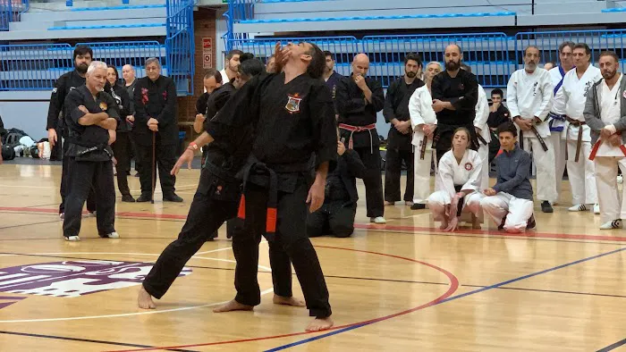 Vigoroux International Academies Picture 3