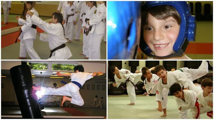 Tenafly Shukokai Karate Picture 1