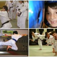 Tenafly Shukokai Karate ico