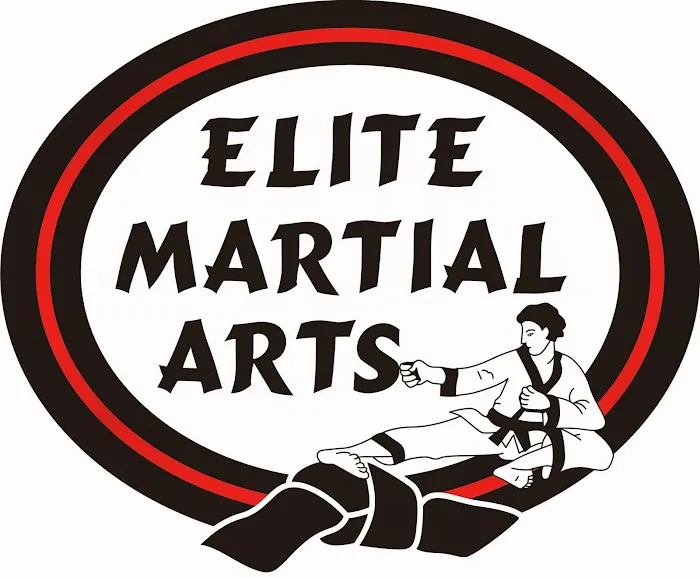 Elite Martial Arts Institute II Karate Picture 4