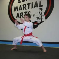 Elite Martial Arts Institute II Karate ico