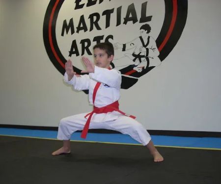 Elite Martial Arts Institute II Karate
