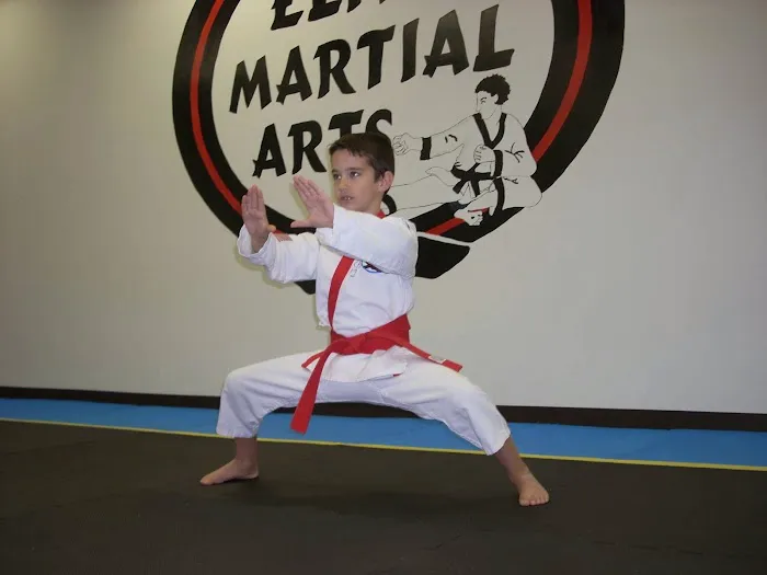 Elite Martial Arts Institute I Karate Picture 3