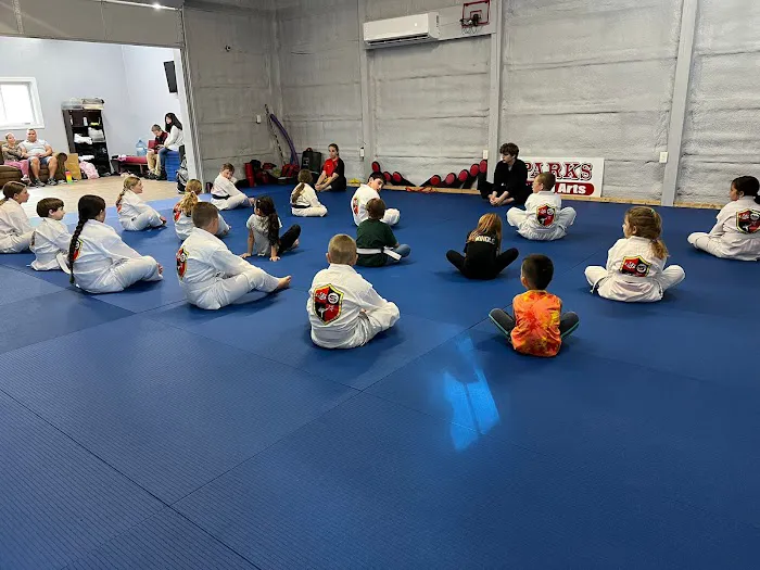 SMA Academy Martial Arts Picture 3