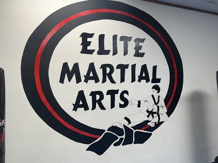 Elite Martial Arts Institute III Daleville Picture 1