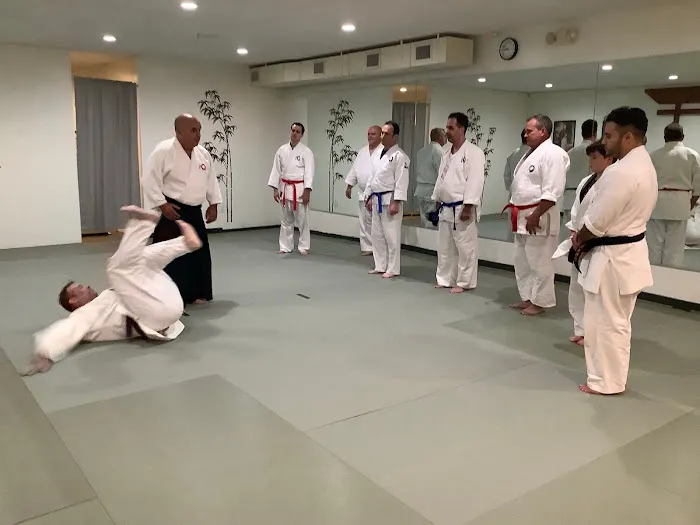 Daitoryu-Muden US Picture 1