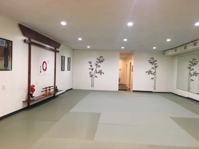 Daitoryu-Muden US Picture 7