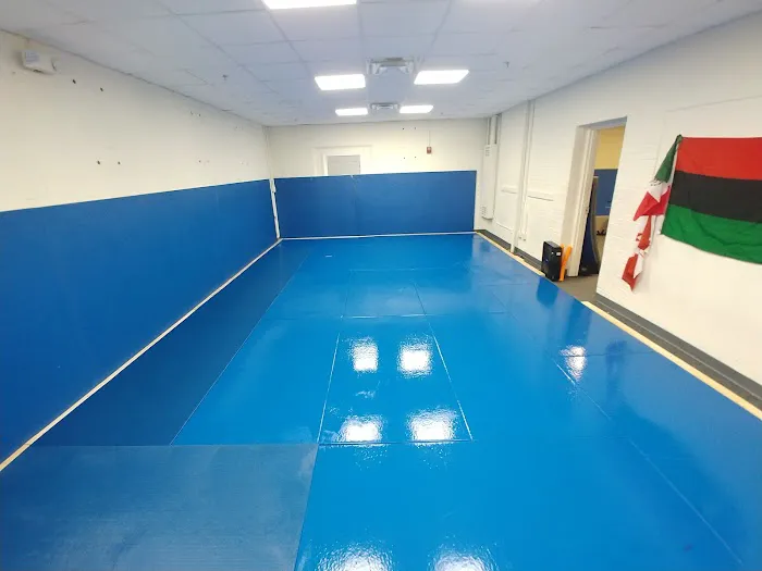 Pitbull Martial Arts Center-USA Picture 2