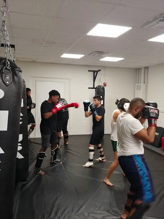 Pitbull Martial Arts Center-USA Picture 7