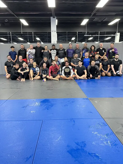 Elevate Jiu Jitsu Academy Picture 3