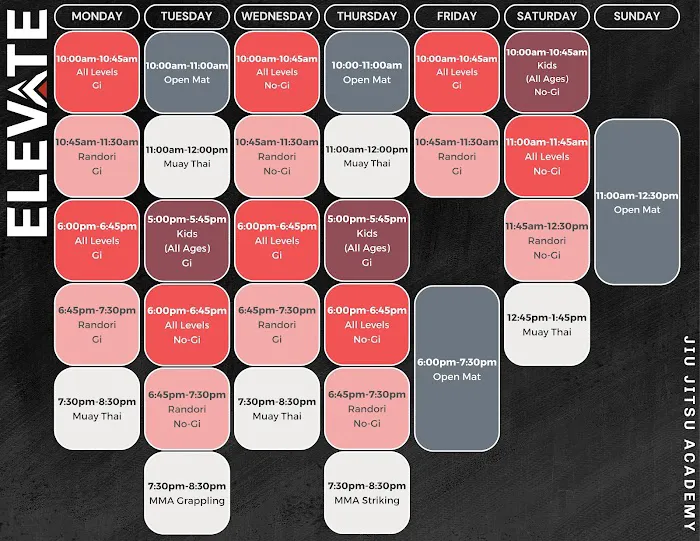 Elevate Jiu Jitsu Academy Picture 5