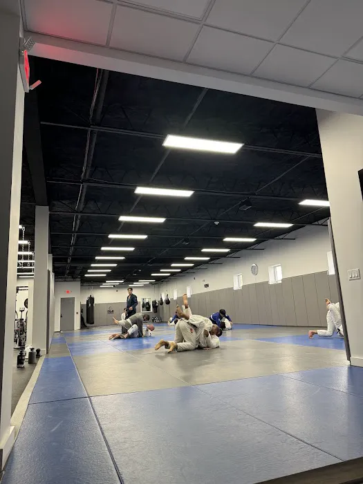Elevate Jiu Jitsu Academy Picture 7