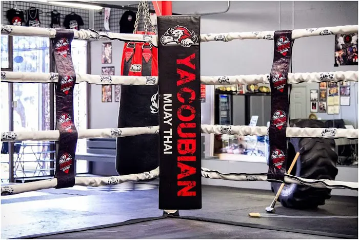 Yacoubian Muay Thai Academy Picture 8