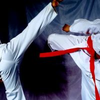 Rockland Kenpo Karate ico