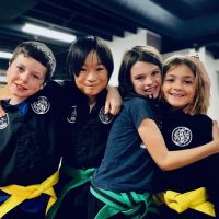 Riverview Martial Arts ico