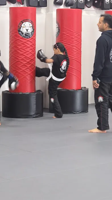 Tiger Schulmann's Martial Arts (Fresh Meadows, NY) Picture 3