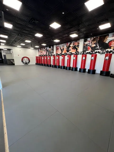 Tiger Schulmann's Martial Arts (Fresh Meadows, NY) Picture 4