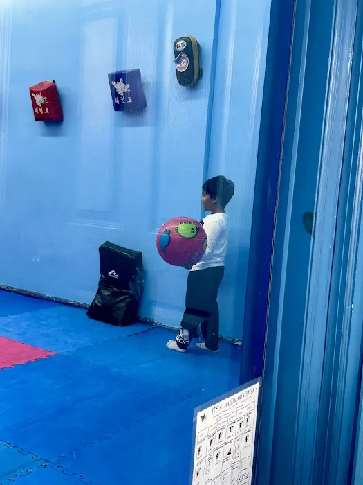 USA Martial Arts Center INC Picture 4