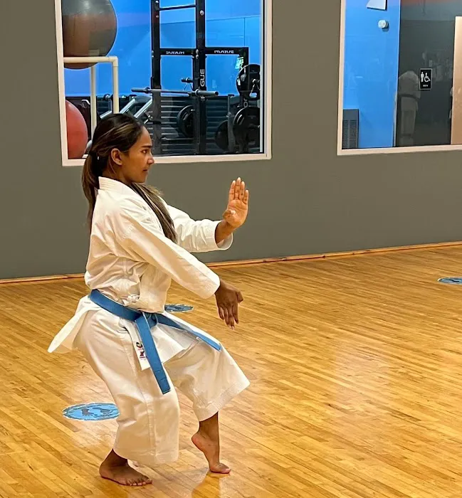 Japan Karate Center Picture 4